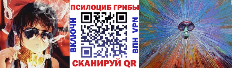 Псилоцибиновые грибы Psilocybine cubensis  Купить где  Дрезна 
